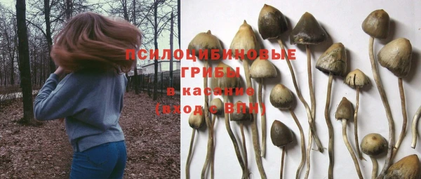 стафф Ростов